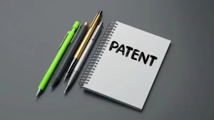 Patent Invalidation or Validation Search