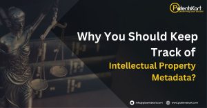 IP metadata, Intellectual Property Metadata, patent
