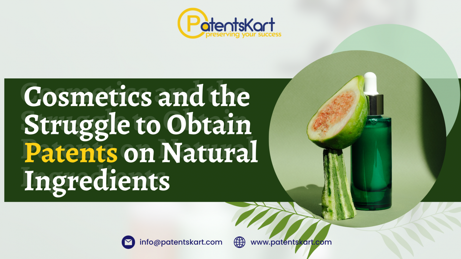 Patents patent support services Patents on Natural Ingredients