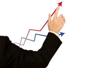 Functional Intellectual Expertise